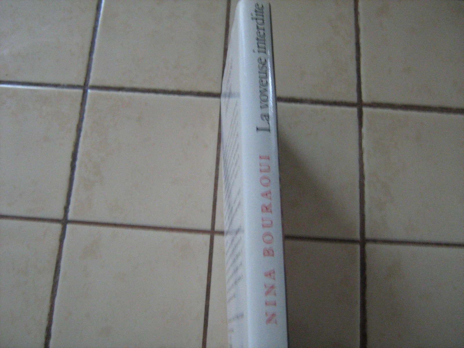 La voyeuse interdite – photo 2